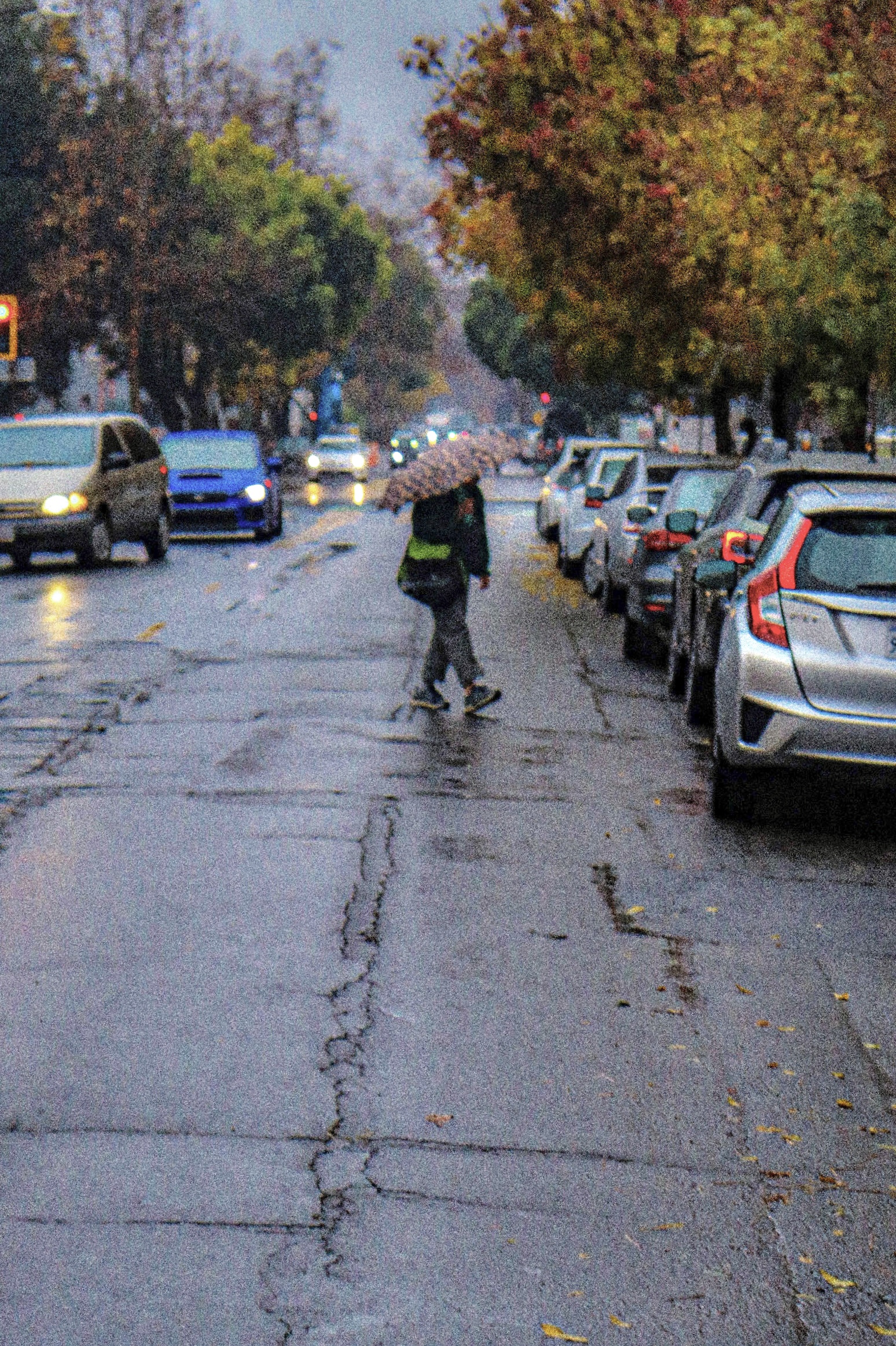 Berkeley Storms Reach Unprecedented Levels The Berkeley High Jacket berkeley-storms-reach-unprecedented-levels-the-berkeley-high-jacket