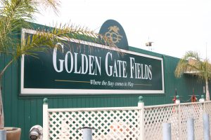 Golden Gate Fields horse racing track sits in Berkeley, right by the San Francisco Bay.