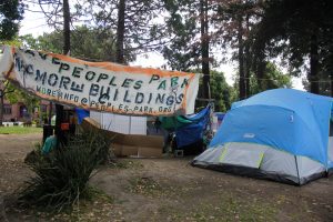 A banner flies in People’s Park, the location of a recent protest against UC Berkeley’s plans for student housing. 
