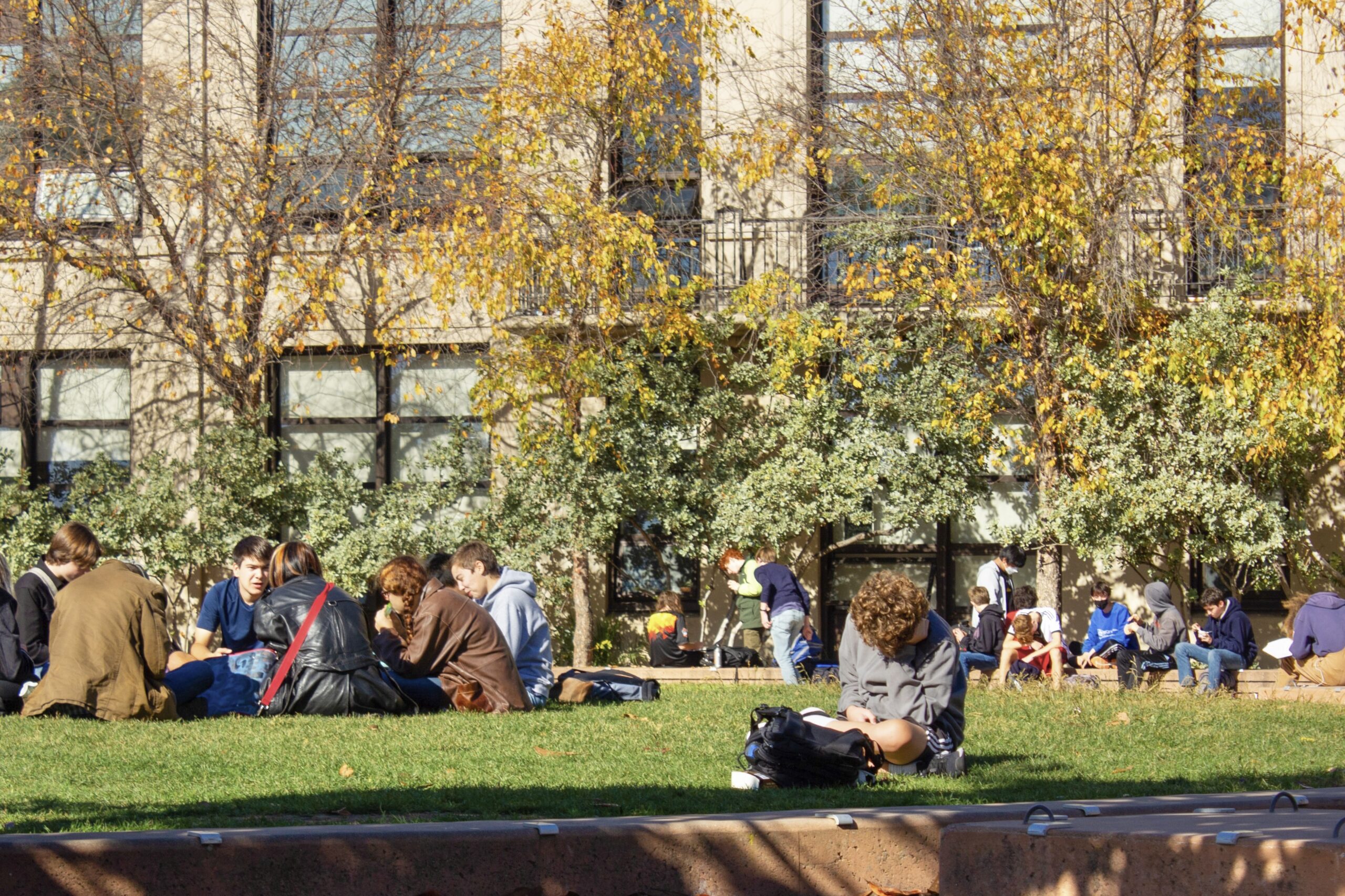 Students Experience Lunch Alone At Bhs — Berkeley High Jacket