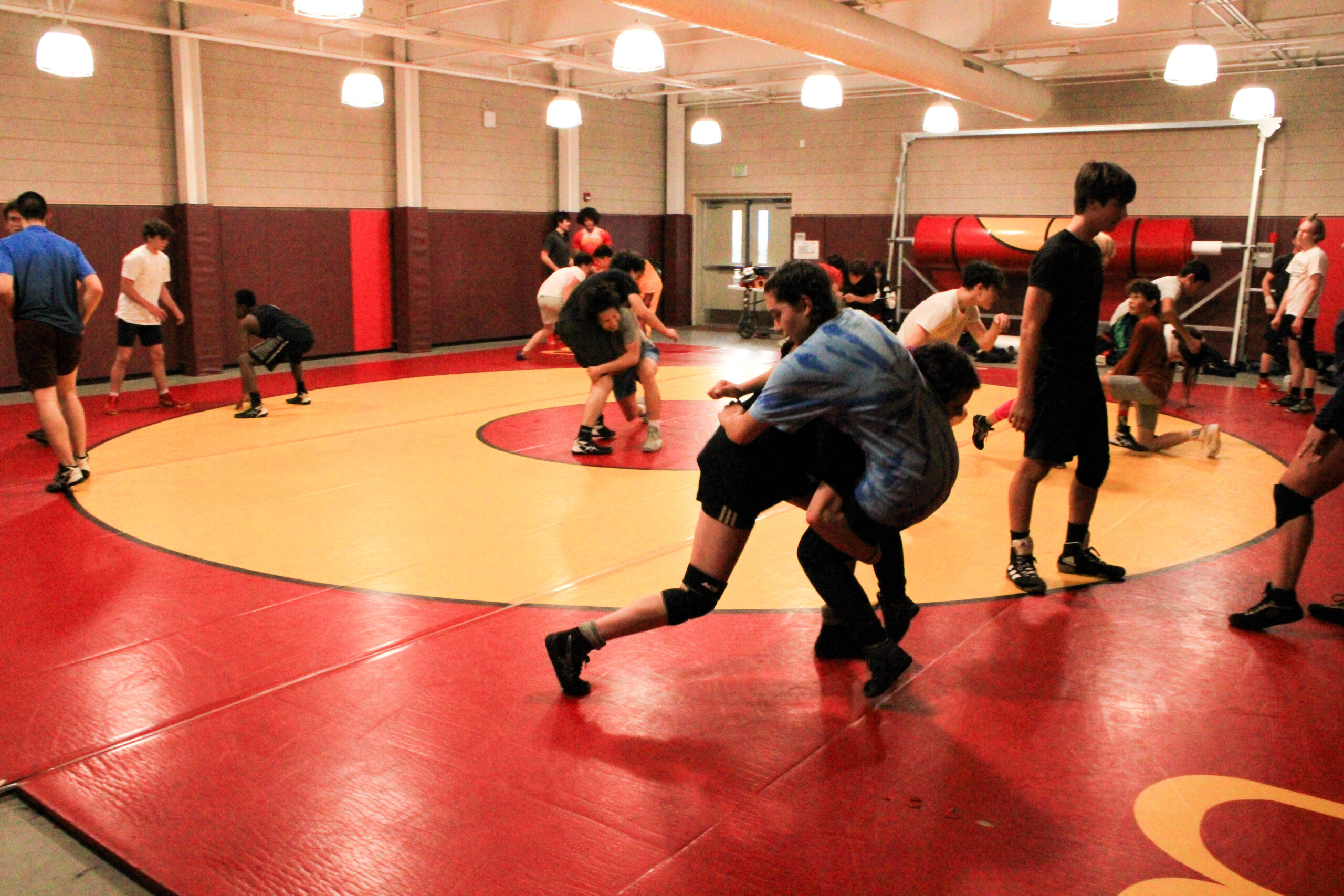 Girls Wrestling Grows In Popularity Access — Berkeley High Jacket