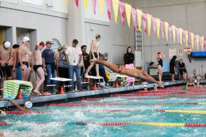 A swimmer dives into the pool at senior night.